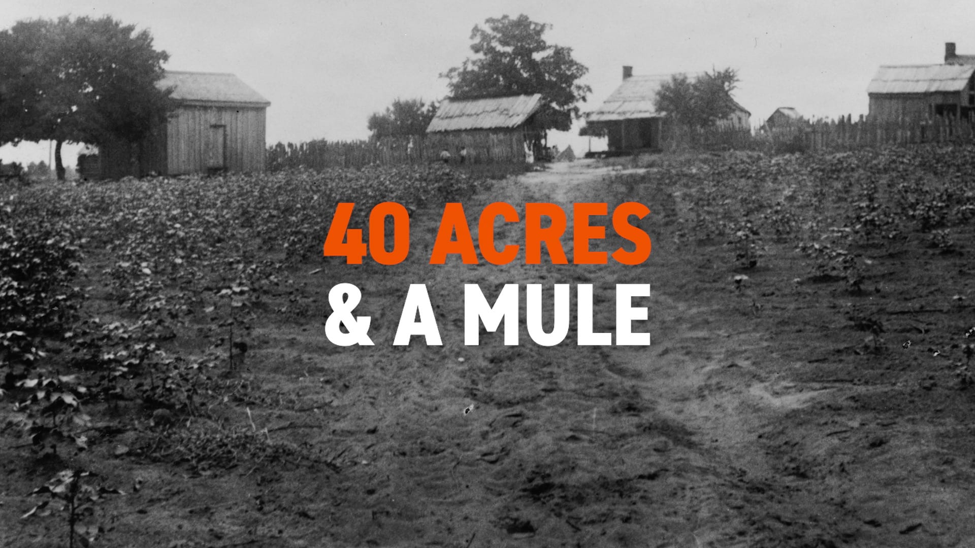 Land: Giving Rise to the Famous Phrase 40 Acres & a Mule | Black History in Two Minutes (or so)